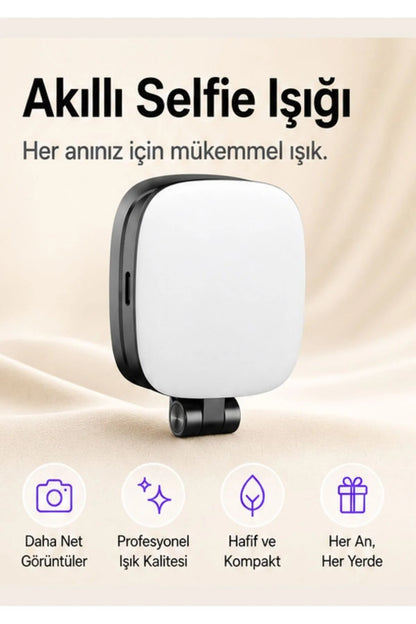 Lumi